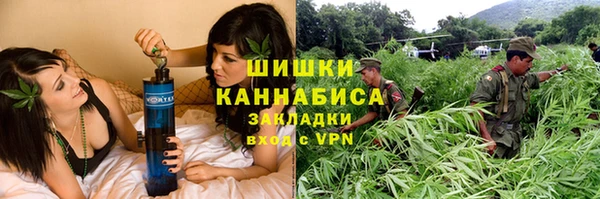 PSILOCYBIN Бугульма